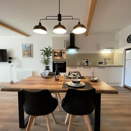 O Pyrenees Quartier Historique شقة